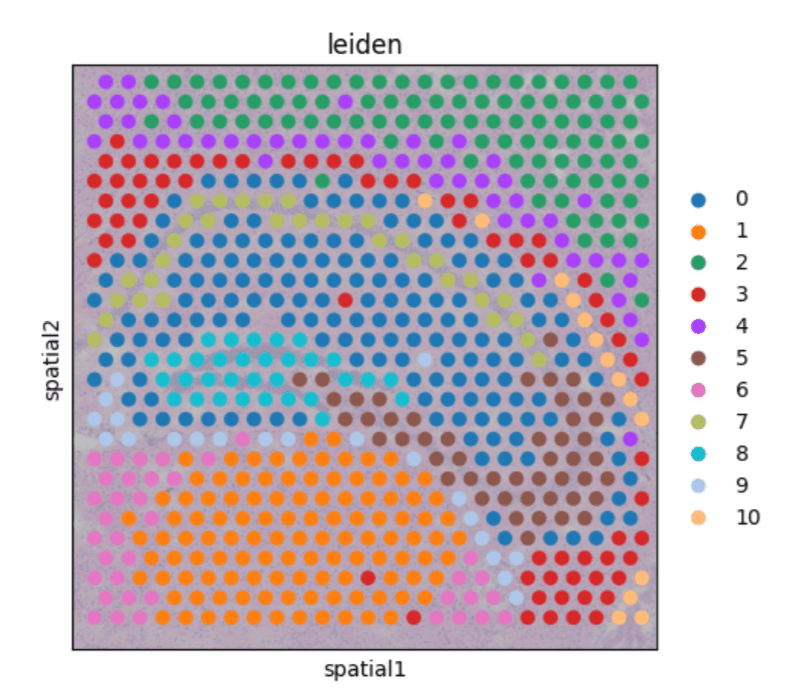 Unsupervised learning for mapping of spatial gene expression data